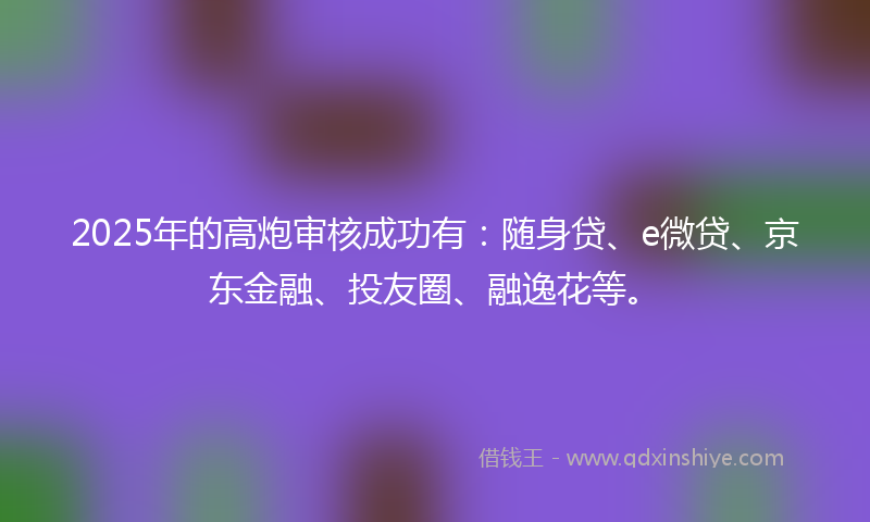 2025年的高炮审核成功有：随身贷、e微贷、京东金融、投友圈、融逸花等。