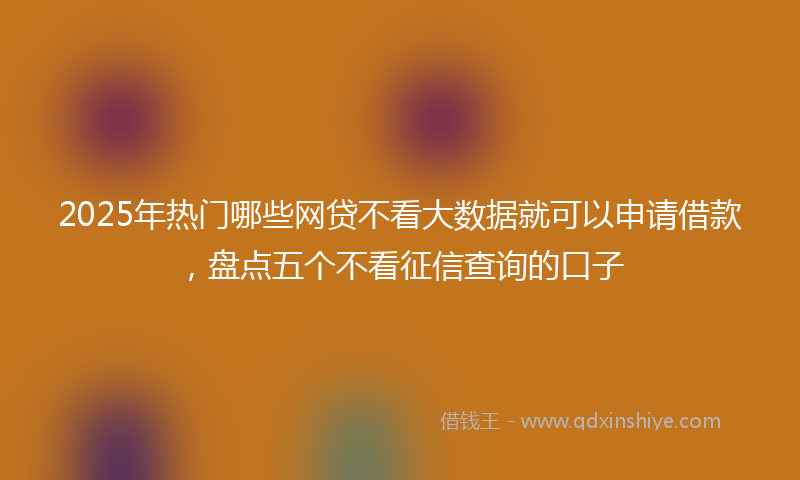 2025年热门哪些网贷不看大数据就可以申请借款，盘点五个不看征信查询的口子