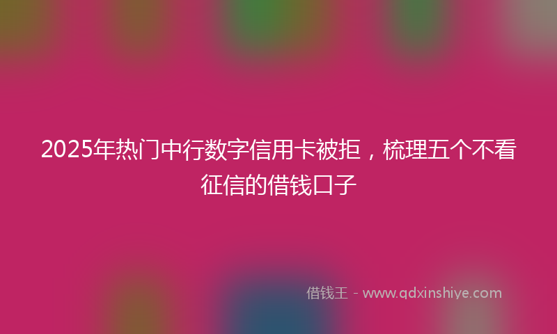 2025年热门中行数字信用卡被拒，梳理五个不看征信的借钱口子