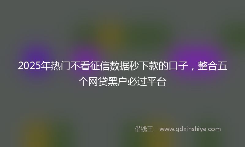 2025年热门不看征信数据秒下款的口子，整合五个网贷黑户必过平台