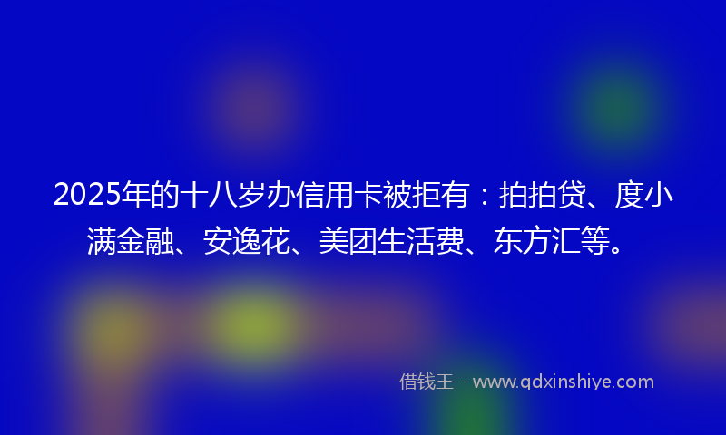 2025年的十八岁办信用卡被拒有：拍拍贷、度小满金融、安逸花、美团生活费、东方汇等。