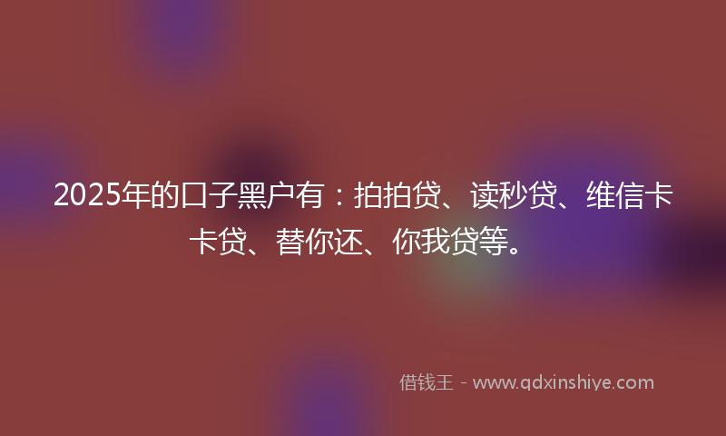 2025年的口子黑户有：拍拍贷、读秒贷、维信卡卡贷、替你还、你我贷等。
