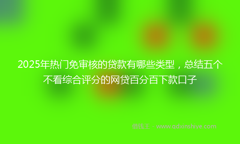2025年热门免审核的贷款有哪些类型，总结五个不看综合评分的网贷百分百下款口子