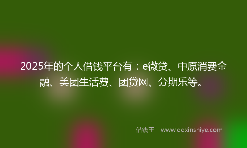 2025年的个人借钱平台有：e微贷、中原消费金融、美团生活费、团贷网、分期乐等。