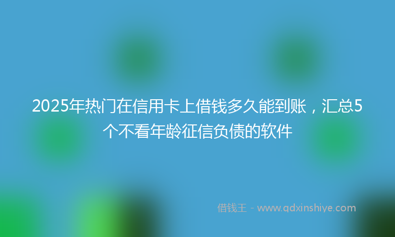 2025年热门在信用卡上借钱多久能到账，汇总5个不看年龄征信负债的软件