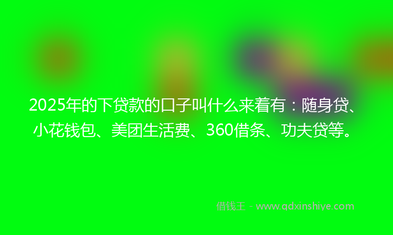 2025年的下贷款的口子叫什么来着有：随身贷、小花钱包、美团生活费、360借条、功夫贷等。