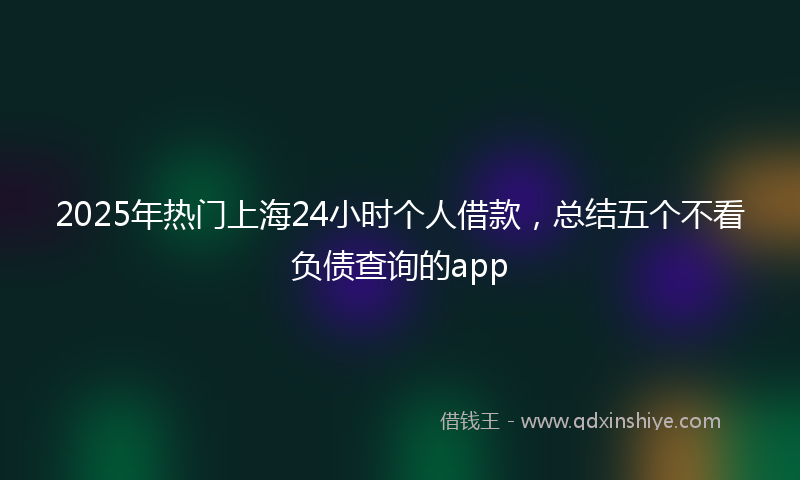 2025年热门上海24小时个人借款，总结五个不看负债查询的app