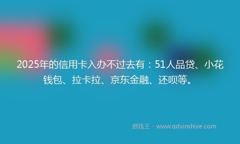 2025年的信用卡入办不过去有：51人品贷、小花钱包、拉卡拉、京东金融、还呗等。