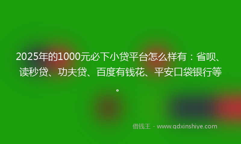 2025年的1000元必下小贷平台怎么样有：省呗、读秒贷、功夫贷、百度有钱花、平安口袋银行等。