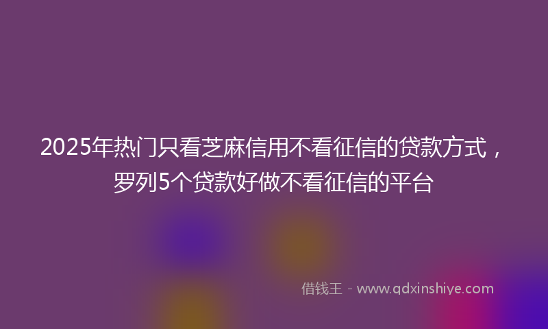 2025年热门只看芝麻信用不看征信的贷款方式，罗列5个贷款好做不看征信的平台