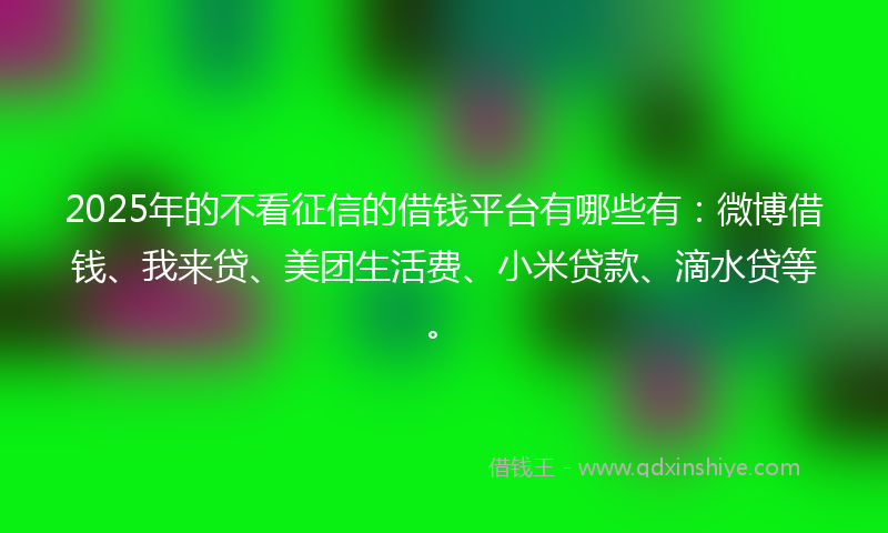 2025年的不看征信的借钱平台有哪些有：微博借钱、我来贷、美团生活费、小米贷款、滴水贷等。