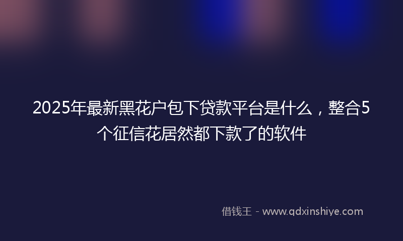 2025年最新黑花户包下贷款平台是什么，整合5个征信花居然都下款了的软件