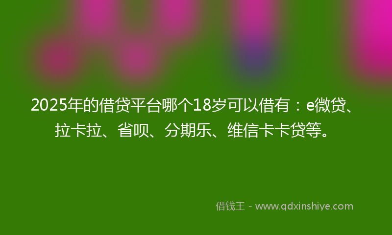 2025年的借贷平台哪个18岁可以借有：e微贷、拉卡拉、省呗、分期乐、维信卡卡贷等。