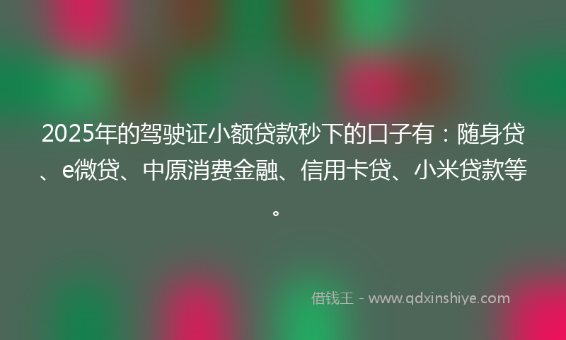 2025年的驾驶证小额贷款秒下的口子有：随身贷、e微贷、中原消费金融、信用卡贷、小米贷款等。