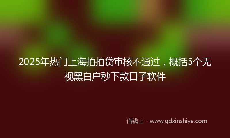2025年热门上海拍拍贷审核不通过，概括5个无视黑白户秒下款口子软件