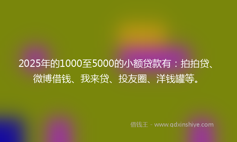 2025年的1000至5000的小额贷款有：拍拍贷、微博借钱、我来贷、投友圈、洋钱罐等。