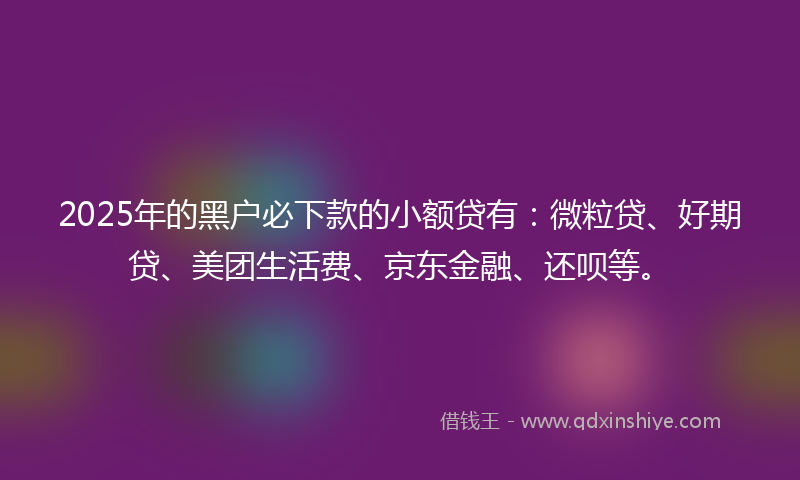2025年的黑户必下款的小额贷有：微粒贷、好期贷、美团生活费、京东金融、还呗等。