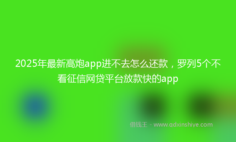 2025年最新高炮app进不去怎么还款，罗列5个不看征信网贷平台放款快的app