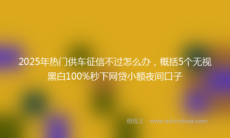 2025年热门供车征信不过怎么办，概括5个无视黑白100%秒下网贷小额夜间口子