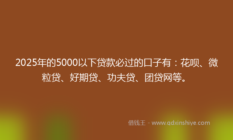 2025年的5000以下贷款必过的口子有：花呗、微粒贷、好期贷、功夫贷、团贷网等。