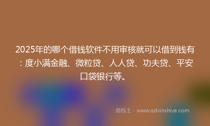 2025年的哪个借钱软件不用审核就可以借到钱有：度小满金融、微粒贷、人人贷、功夫贷、平安口袋银行等。