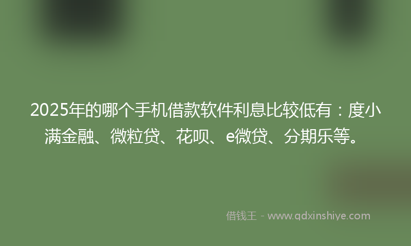 2025年的哪个手机借款软件利息比较低有：度小满金融、微粒贷、花呗、e微贷、分期乐等。