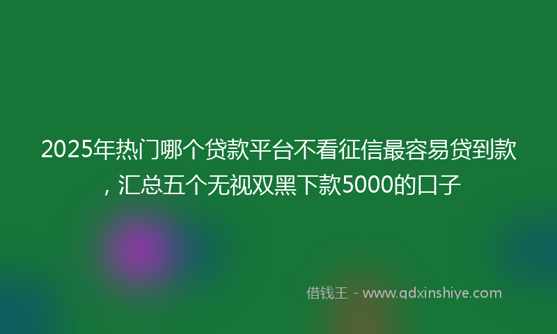 2025年热门哪个贷款平台不看征信最容易贷到款，汇总五个无视双黑下款5000的口子