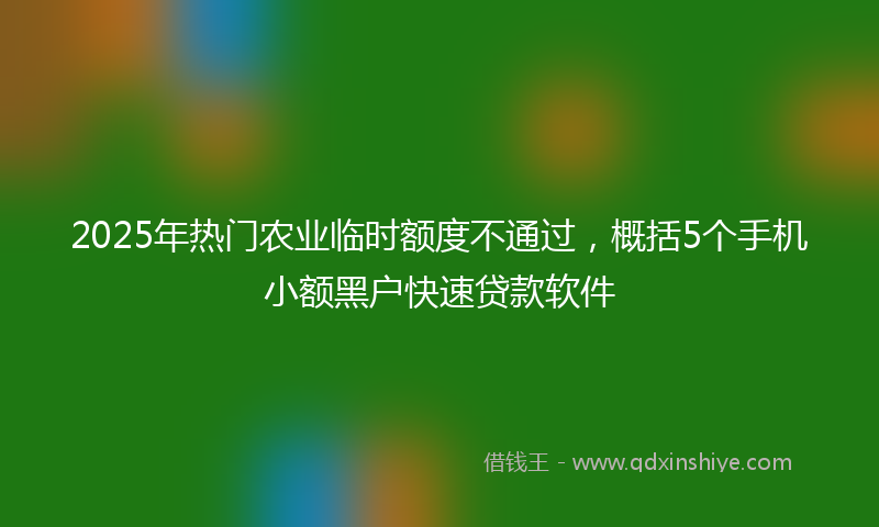 2025年热门农业临时额度不通过，概括5个手机小额黑户快速贷款软件