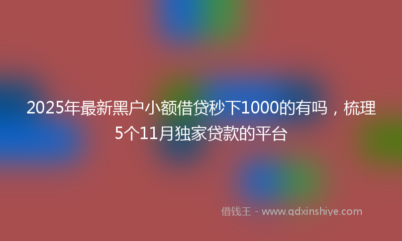 2025年最新黑户小额借贷秒下1000的有吗，梳理5个11月独家贷款的平台