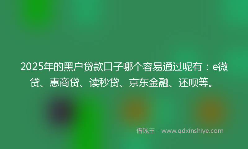 2025年的黑户贷款口子哪个容易通过呢有：e微贷、惠商贷、读秒贷、京东金融、还呗等。