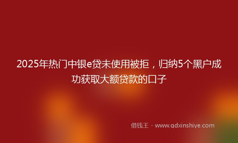 2025年热门中银e贷未使用被拒，归纳5个黑户成功获取大额贷款的口子