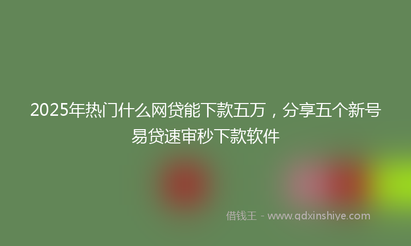 2025年热门什么网贷能下款五万，分享五个新号易贷速审秒下款软件
