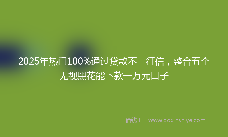 2025年热门100%通过贷款不上征信，整合五个无视黑花能下款一万元口子