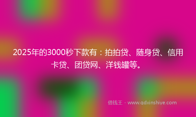 2025年的3000秒下款有：拍拍贷、随身贷、信用卡贷、团贷网、洋钱罐等。