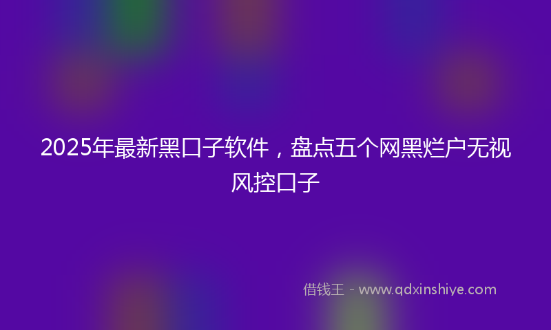 2025年最新黑口子软件，盘点五个网黑烂户无视风控口子