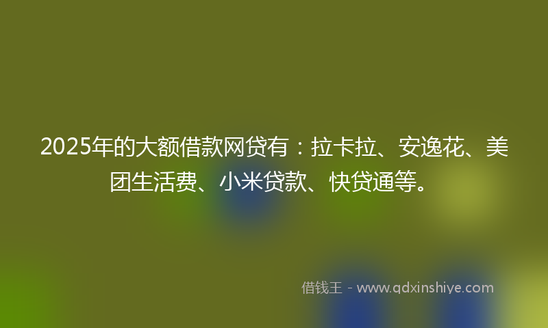 2025年的大额借款网贷有：拉卡拉、安逸花、美团生活费、小米贷款、快贷通等。