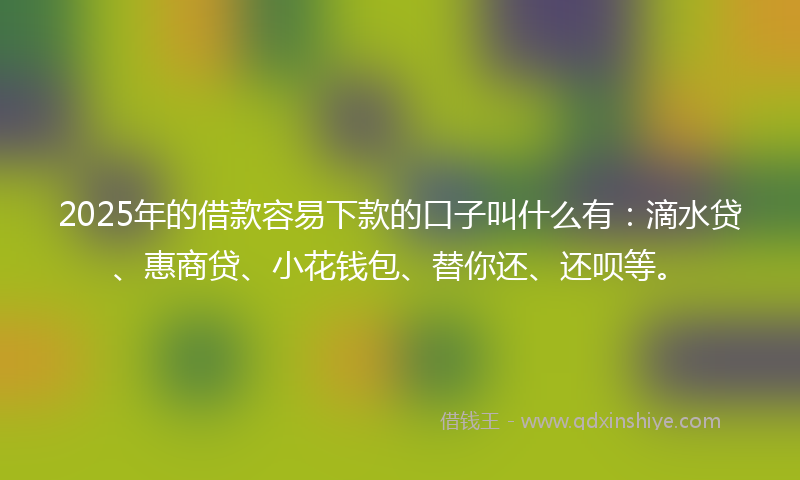 2025年的借款容易下款的口子叫什么有：滴水贷、惠商贷、小花钱包、替你还、还呗等。