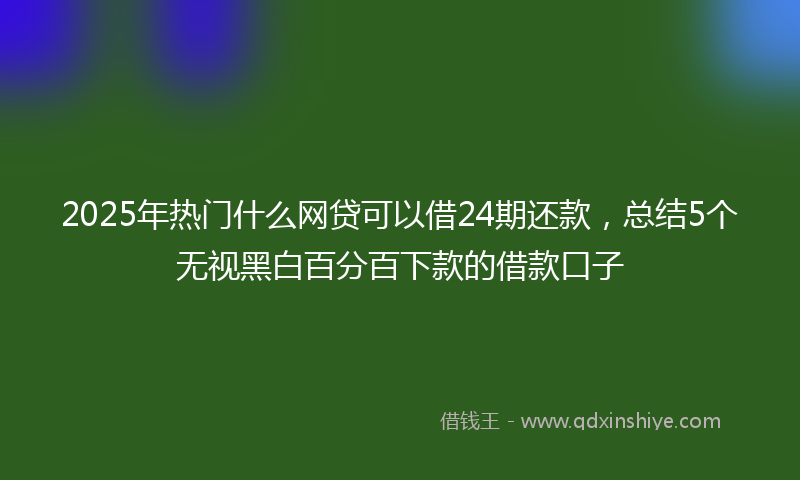 2025年热门什么网贷可以借24期还款，总结5个无视黑白百分百下款的借款口子