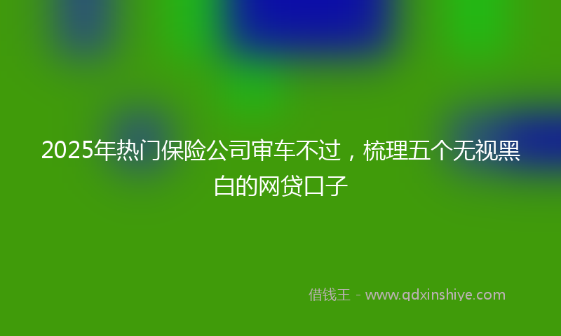 2025年热门保险公司审车不过，梳理五个无视黑白的网贷口子
