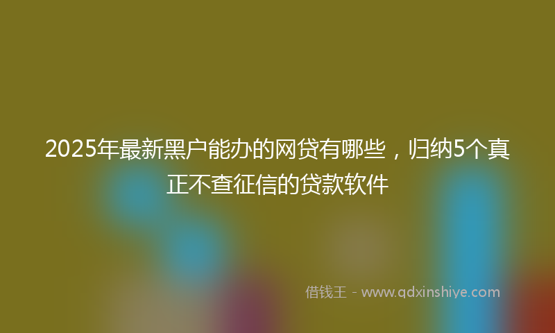 2025年最新黑户能办的网贷有哪些，归纳5个真正不查征信的贷款软件