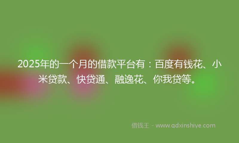 2025年的一个月的借款平台有：百度有钱花、小米贷款、快贷通、融逸花、你我贷等。