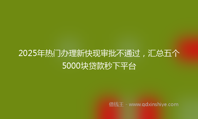 2025年热门办理新快现审批不通过，汇总五个5000块贷款秒下平台