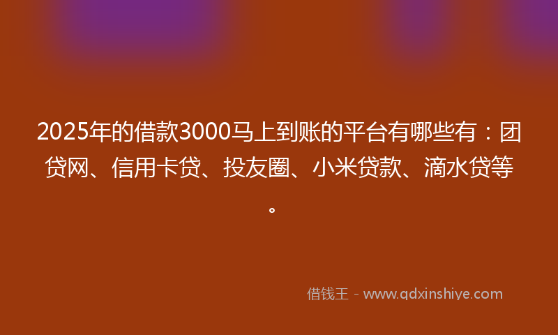 2025年的借款3000马上到账的平台有哪些有：团贷网、信用卡贷、投友圈、小米贷款、滴水贷等。