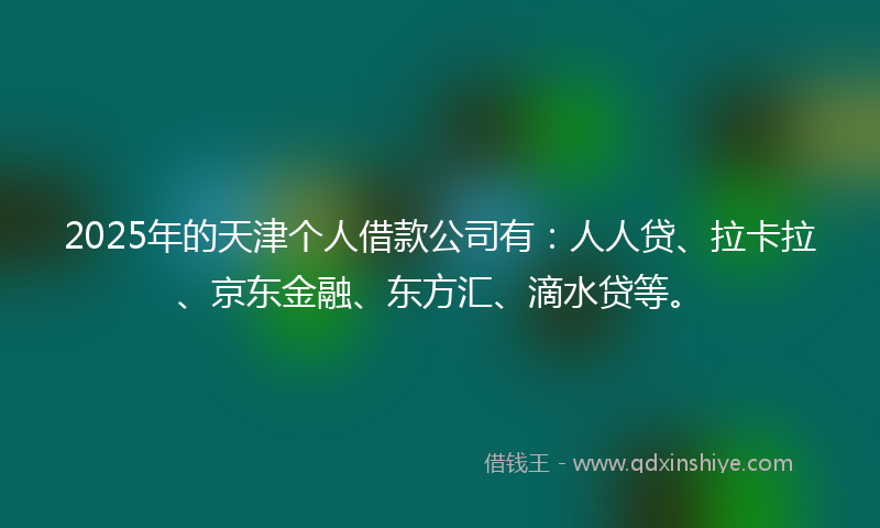 2025年的天津个人借款公司有：人人贷、拉卡拉、京东金融、东方汇、滴水贷等。