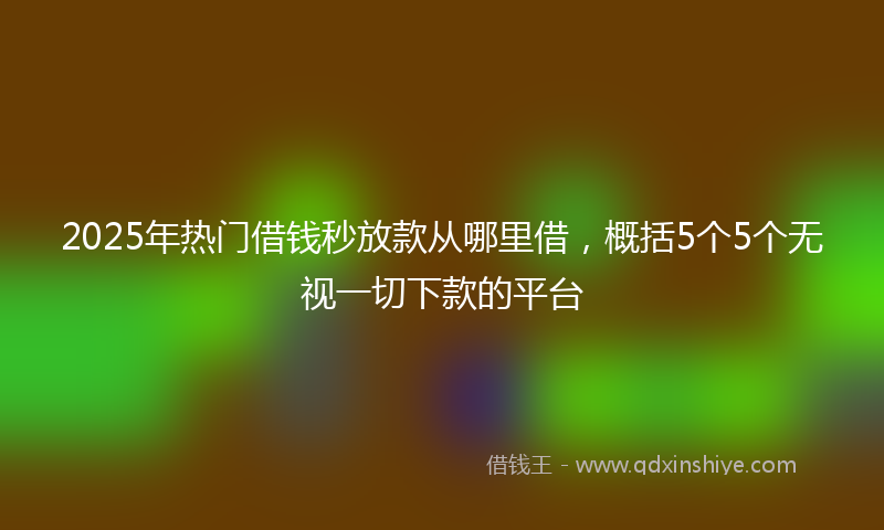 2025年热门借钱秒放款从哪里借，概括5个5个无视一切下款的平台
