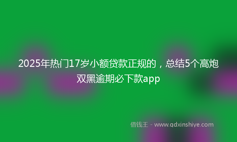 2025年热门17岁小额贷款正规的，总结5个高炮双黑逾期必下款app