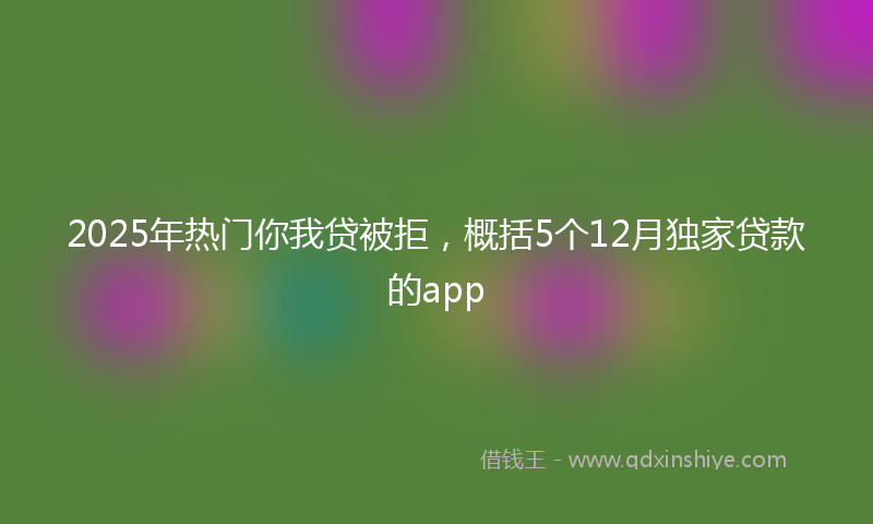 2025年热门你我贷被拒，概括5个12月独家贷款的app