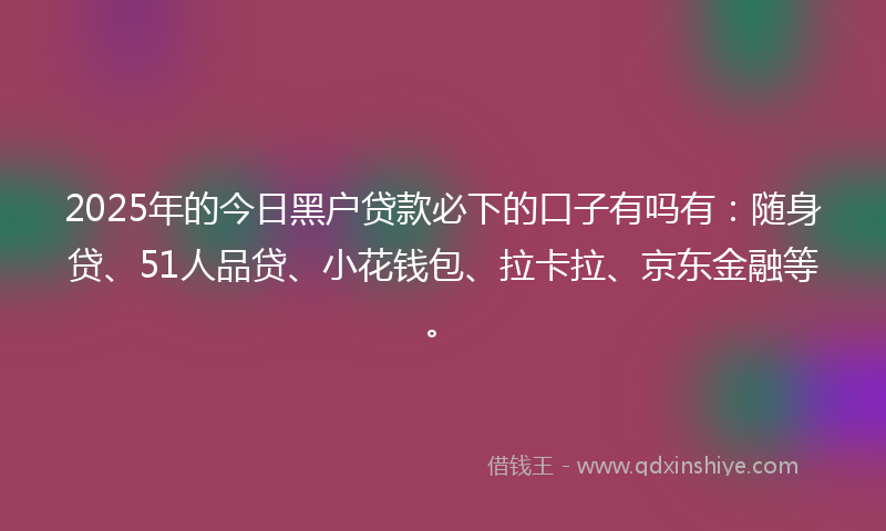 2025年的今日黑户贷款必下的口子有吗有：随身贷、51人品贷、小花钱包、拉卡拉、京东金融等。