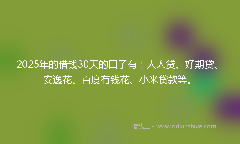 2025年的借钱30天的口子有：人人贷、好期贷、安逸花、百度有钱花、小米贷款等。