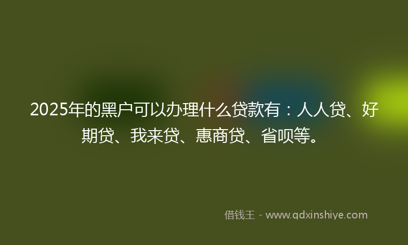 2025年的黑户可以办理什么贷款有：人人贷、好期贷、我来贷、惠商贷、省呗等。